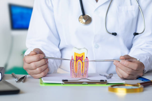 Best Emergency Denture Repair in Coyne Center, IL